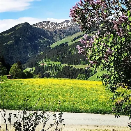 Lägenhet Schrolln *