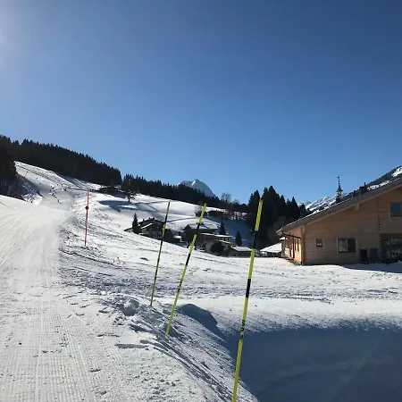 Apartment Schrolln Kirchberg in Tirol