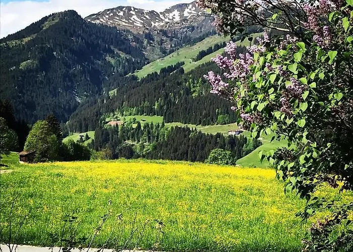 Lejlighed Schrolln *