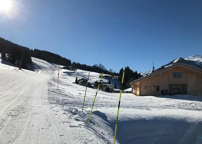 Lejlighed Schrolln Kirchberg in Tirol